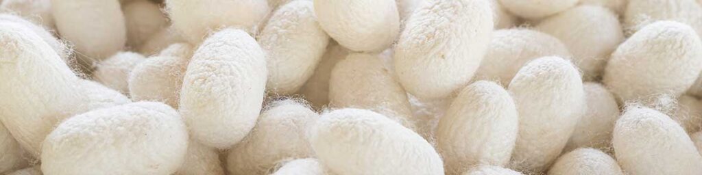 Silk: A Sustainable Fabric
