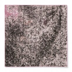 Space-Chip-Cosminha-Luxury-Silk-Scarves